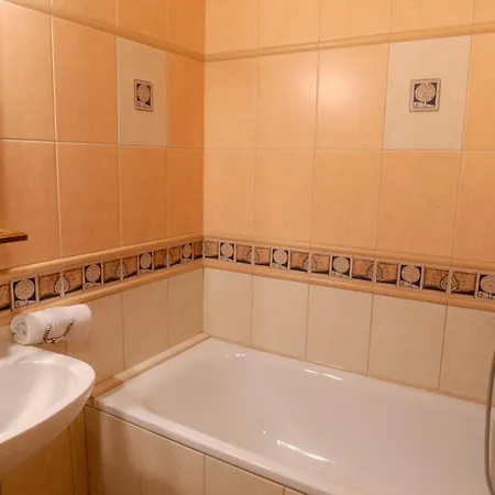 公寓 Haus Anna Appartementhaus 巴德小基希海姆