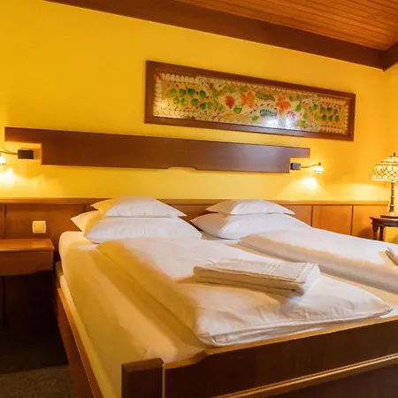 Haus Anna Appartementhaus * 巴德小基希海姆