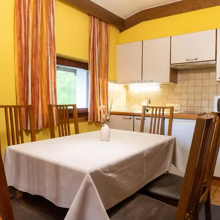 Haus Anna Appartementhaus 公寓 巴德小基希海姆