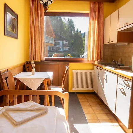 Haus Anna Appartementhaus - Kärnten Card Im Sommer Inklusive - Bad Kleinkirchheim