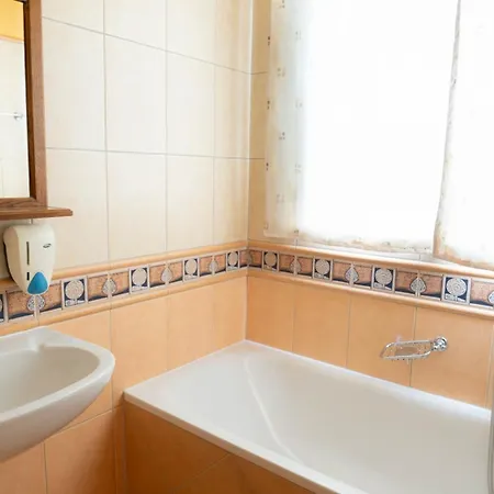 公寓 Haus Anna Appartementhaus *