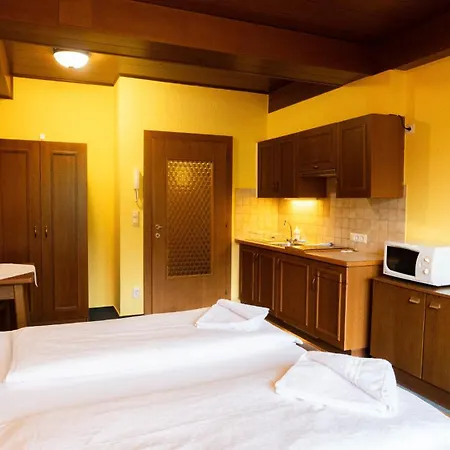 公寓 Haus Anna Appartementhaus 巴德小基希海姆