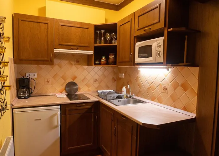 Haus Anna Appartementhaus 아파트 바트키르히하임